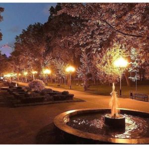 E8C52F52-5777-4B81-9EAD-F9A02B0F2D9E E8C52F52-5777-4B81-9EAD-F9A02B0F2D9E